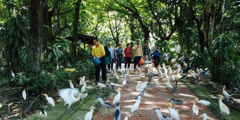 Kuala Lumpur: Bird Park, Butterfly & Garden Private Tour - Should You Book This KL Bird Park, Butterfly & Garden Private Tour?