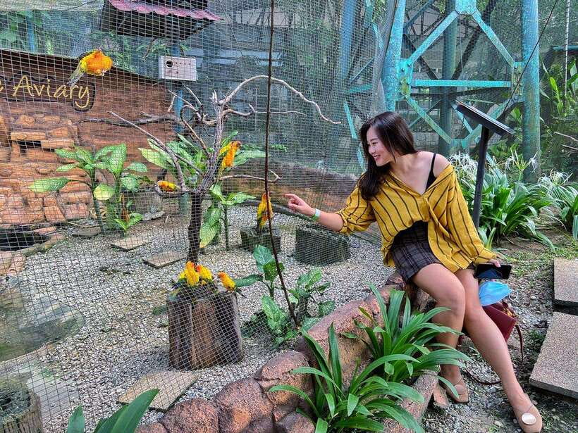 Kuala Lumpur: Bird Park Day Ticket & 1-Way Transfer - Should You Book This Bird Park Ticket With Transfer?