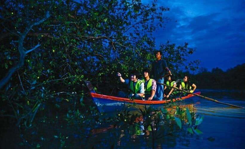 Kuala Lumpur: City Sights, Batu Caves and Fireflies Day Trip - One Long Day That Actually Works: KL Icons to Kuala Selangor at Night
