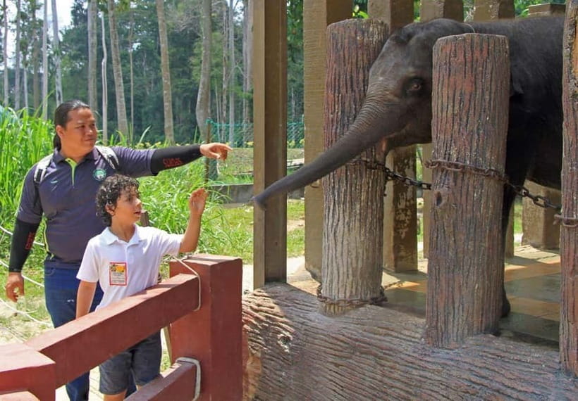 Kuala Lumpur Day Tour: Batu Caves & Elephant Sanctuary - Temple Cave Interiors: Shrines, Carvings, and Limestone Drama