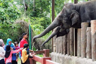 Kuala Lumpur Day Tour: Batu Caves & Elephant Sanctuary - Climbing the 272 Steps: More Than Exercise