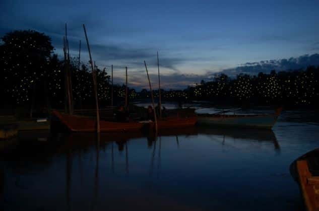 Kuala Lumpur: Fireflies & Blue Tears Tour with Seafood Meal - Getting Out of Kuala Lumpur: The Ride That Sets the Mood