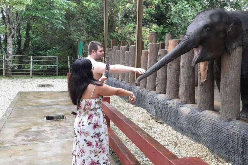 Kuala Lumpur: Kuala Gandah and Batu Caves Private Trip - Time management in a 7-hour private day (and why it’s not rushed)