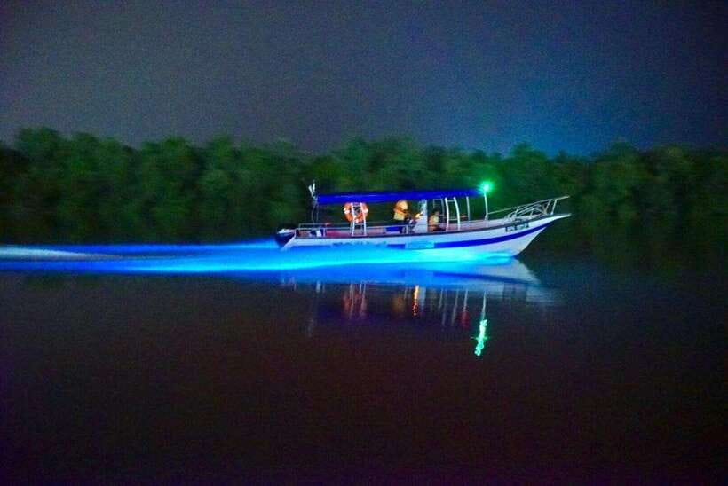 Kuala Lumpur: Kuala Selangor Fireflies and Blue Tears Tour - Monkey mountain vibes: feeding, timing, and boundaries