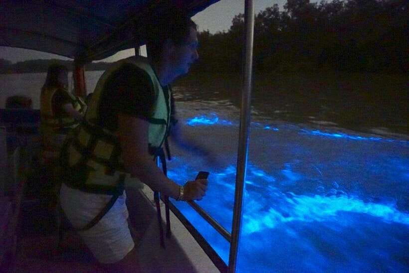Kuala Lumpur: Kuala Selangor Fireflies and Blue Tears Tour - Seafood dinner in a traditional fishing village: your real recharge