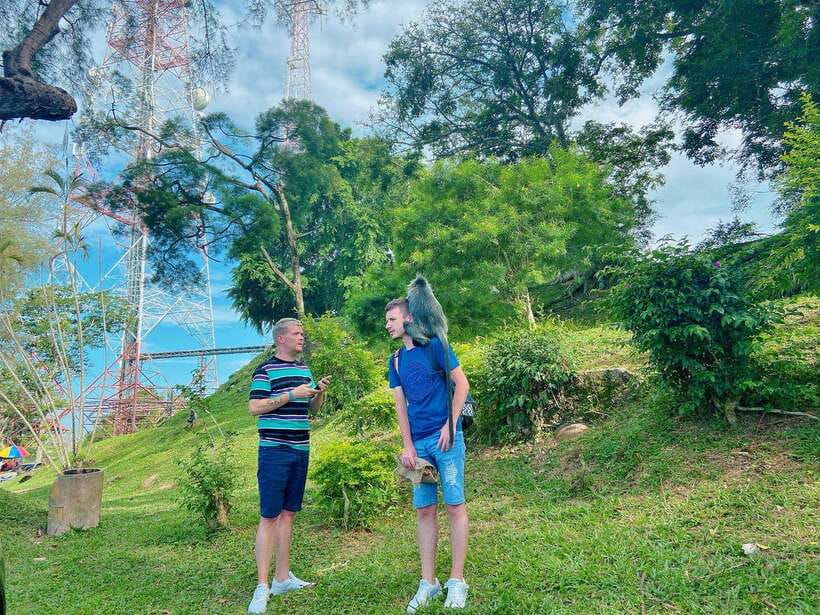 Kuala Lumpur: Kuala Selangor Fireflies and Blue Tears Tour - What this tour suits best (and who should skip)
