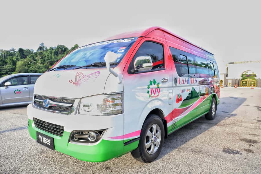 Kuala Lumpur: Sightseeing by Private Vehicle with Driver - Value and pricing: $81 per group up to 7, plus what you still need to pay