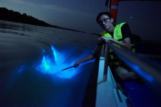 Kuala Selangor Fireflies and Blue Tears Tour with Dinner (SIC) - The big idea: Kuala Selangor’s night show, built around darkness