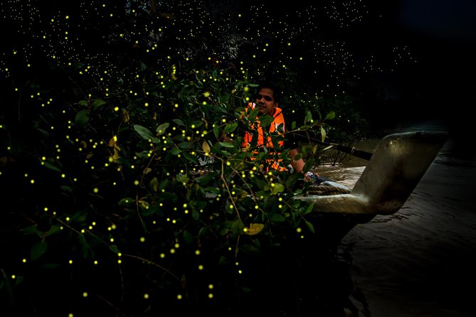 Kuala Selangor Fireflies - Batu Caves Temple- Malawati Hill DayTour With Dinner - How this day tour flows: Batu Caves, Melawati Hill, then fireflies