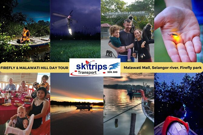 Kuala Selangor Fireflies - Batu Caves Temple- Malawati Hill DayTour With Dinner - Batu Caves and the 272-step shrine climb (the star stop)