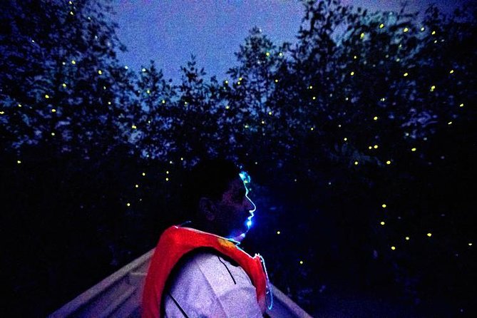 Kuala Selangor Fireflies Evening River Cruise from Kuala Lumpur - Price and logistics from Kuala Lumpur: where your $60 goes