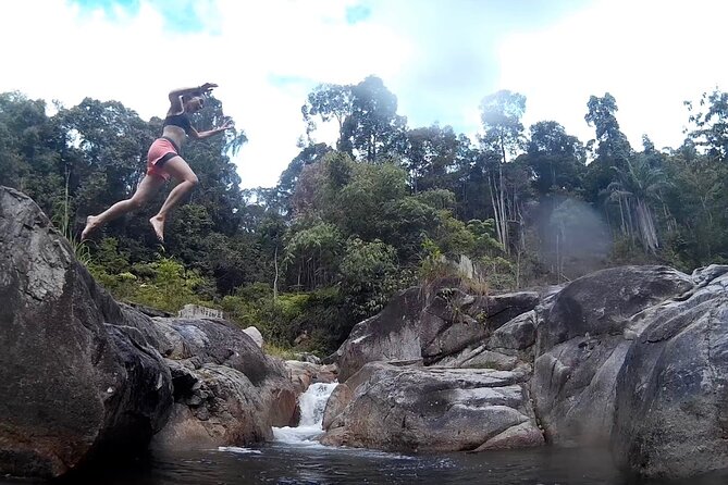 Magical River Trek - Two Hours Into the Rainforest: rivers, bamboo thickets, and a steady climb