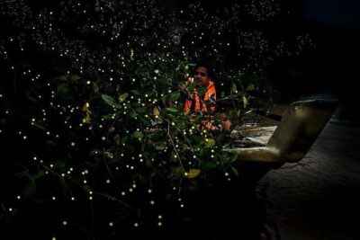 Mystical Nights: Fireflies & Blue Tears Adventure - Sri Shakti Temple in 20 Minutes: A Calm Start Before the Night