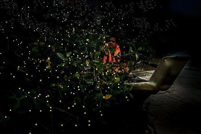 Mystical Nights: Fireflies & Blue Tears Adventure - Sri Shakti Temple in 20 Minutes: A Calm Start Before the Night