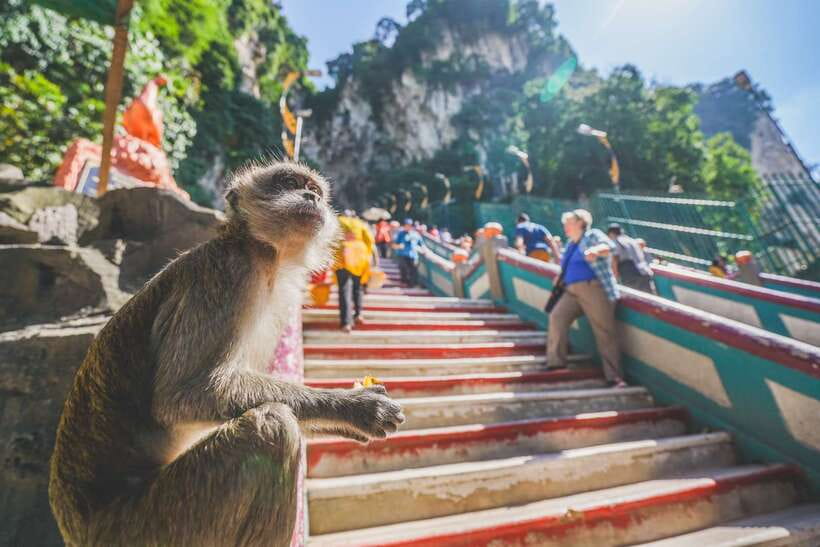 Private KL City Tour with Petronas Twin Towers & Batu Caves - Key highlights worth planning for