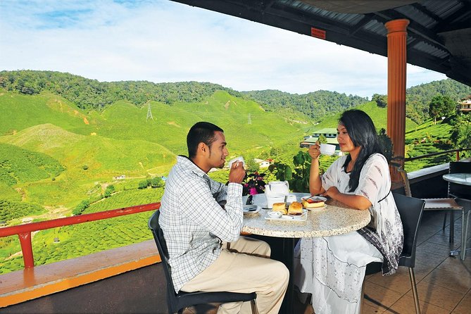 Private Nature Trip to Cameron Highlands from Kuala Lumpur - Butterfly and Insect Garden: Easy Walks, Great Family Energy