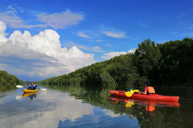 River Exploration and Mangrove Nature Tour by kayaking - Key highlights before you go