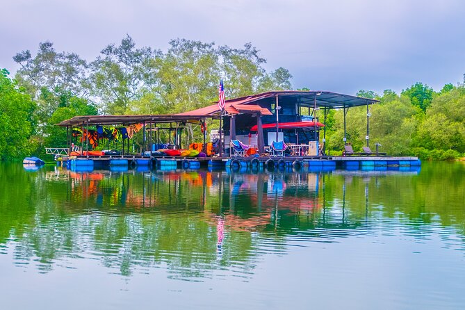 River Exploration and Mangrove Nature Tour by kayaking - Wildlife you may spot: what to expect without forcing it