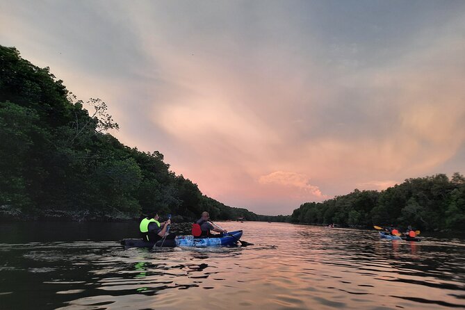 River Exploration and Mangrove Nature Tour by kayaking - Guides make the difference: mangrove interpretation in plain language