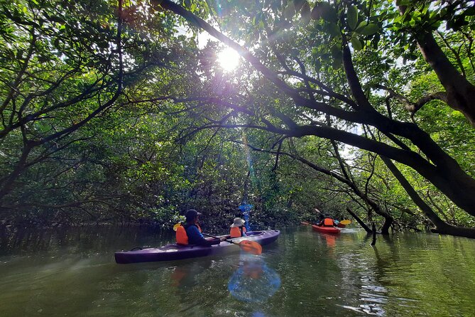 River Exploration and Mangrove Nature Tour by kayaking - What’s included (and what you’ll need to handle)