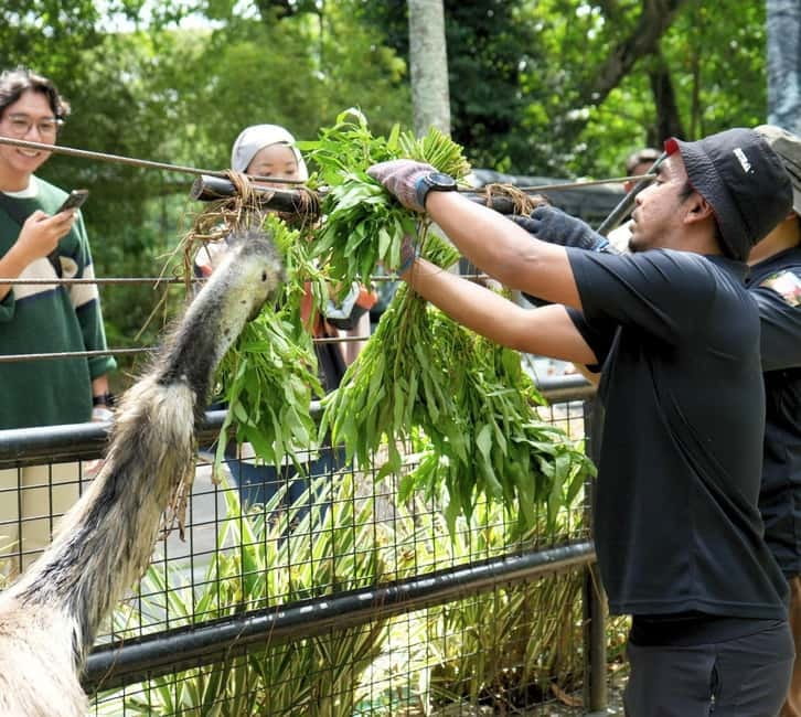Selangor: Zoo Negara E-Ticket - Key things to know before you go