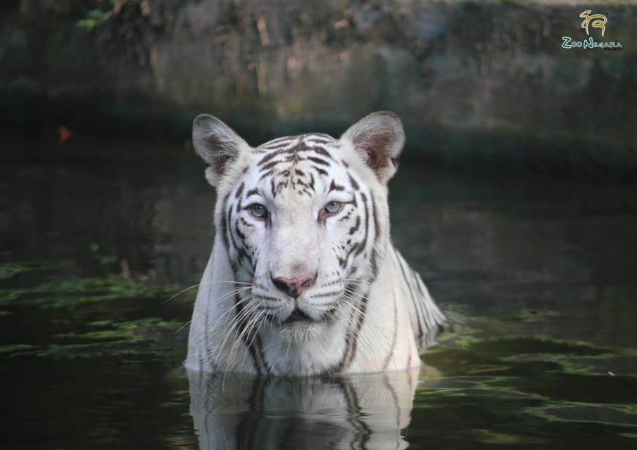 Selangor: Zoo Negara E-Ticket - Who this Zoo Negara e-ticket suits best