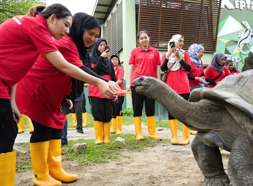 Selangor: Zoo Negara E-Ticket - Giant Panda Conservation Centre: the highlight you should plan around first