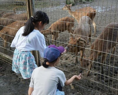 Selangor: Zoo Negara E-Ticket - Arriving and redeeming your voucher at the National Zoo
