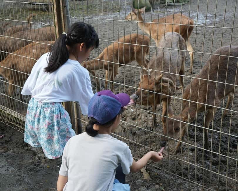 Selangor: Zoo Negara E-Ticket - Arriving and redeeming your voucher at the National Zoo