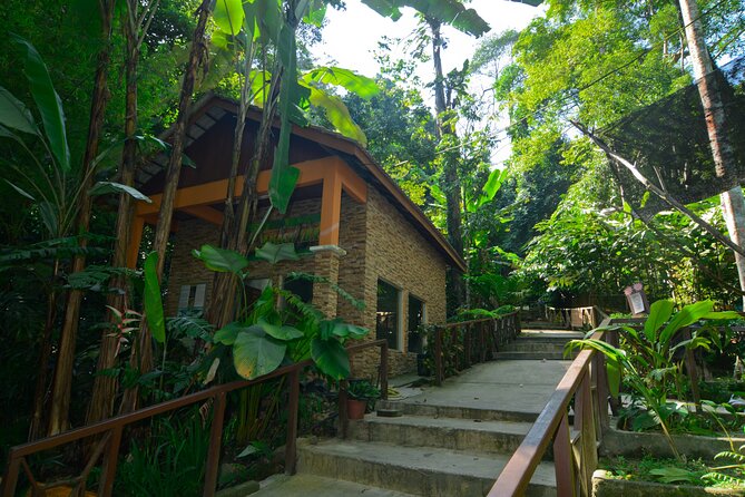Taman Negara Day Trip from Kuala Lumpur with Lunch - Key highlights you’ll actually care about