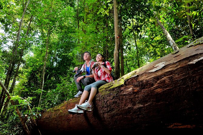 Taman Negara Day Trip from Kuala Lumpur with Lunch - Price and value: is $205 fair for this much rainforest time?
