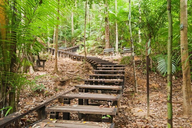 Taman Negara National Park Day Excursion from Kuala Lumpur PVT - Group Feel, Timing, and What to Expect Day-of