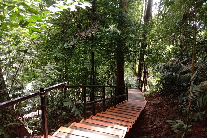 Taman Negara National Park Day Tour (SIC - Join In Tour) - Getting from Kuala Lumpur to Taman Negara: The early start matters