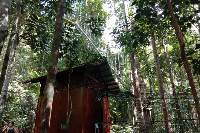 Taman Negara National Park Day Tour (SIC - Join In Tour) - The rainforest trek to Teresek Hill (and the Indah Hill swap)